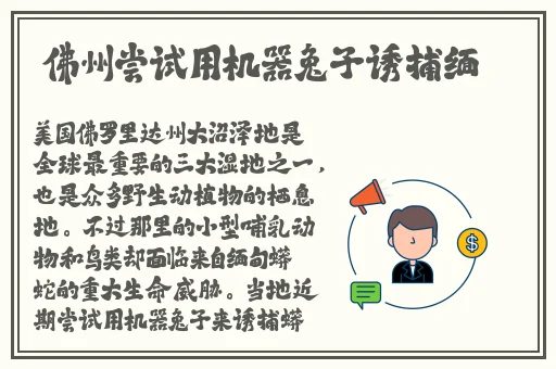 星空无限传媒白洁第二集